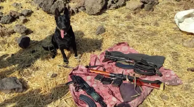 Mardin'deki 'Hücre' dağıtıldı! Silah kaçakçılığına 11 tutuklama güncel haberi