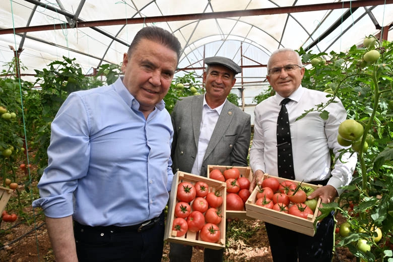 IV. Uluslararası FoodFest Gastronomi Festivali domates hasadı ile başladı haberi