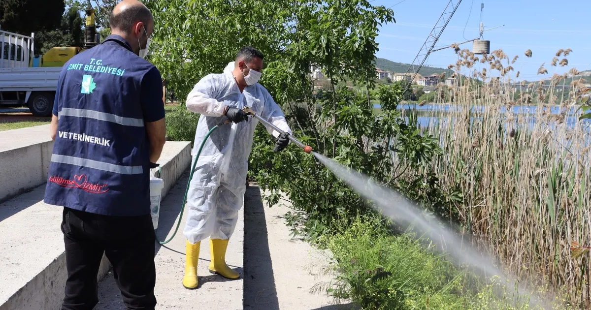 İzmit'te halk sağlığı için yoğun ilaçlama mesaisi haberi