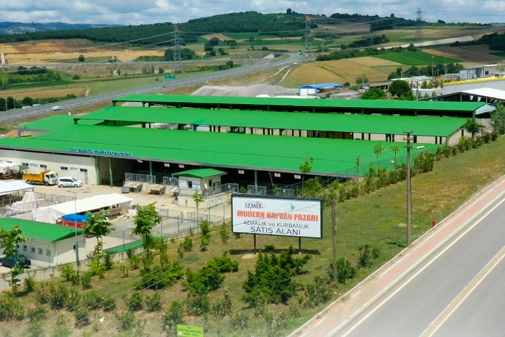 İzmit'te kurban satışı için ön kayıtlar başladı haberi