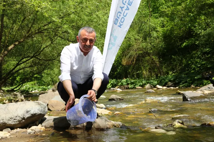 Kocaeli Kirazdere'ye 2 yılda 16 bin alabalık salındı haberi