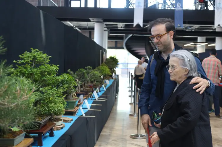 Kocaeli’de sanat tutkunları bonsai sanatı ile tanıştı haberi