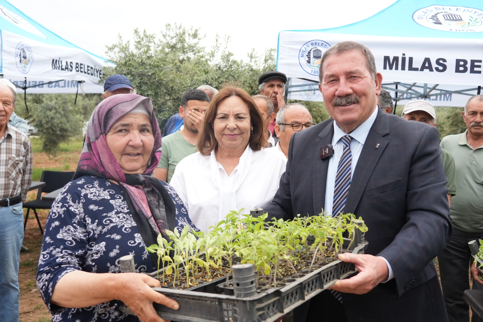 Muğla Milas’ta 300 üreticiye dağıtım gerçekleştirildi haberi