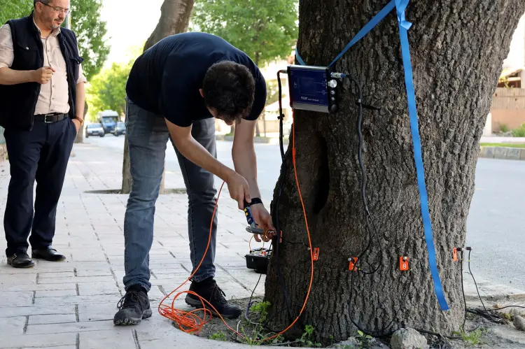 Sakarya'dan doğaya ‘şifa’ gibi adım... Yeşil cennetin tomografisi çekilecek haberi