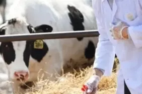 Tarımsal Girdi Fiyatları Mart Ayında Zirve Yaptı: Veteriner Harcamaları Üreticiyi Zorluyor!