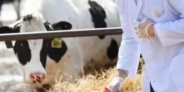 Tarımsal Girdi Fiyatları Mart Ayında Zirve Yaptı: Veteriner Harcamaları Üreticiyi Zorluyor!