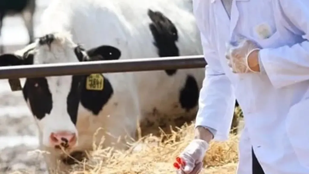 Tarımsal Girdi Fiyatları Mart Ayında Zirve Yaptı: Veteriner Harcamaları Üreticiyi Zorluyor!